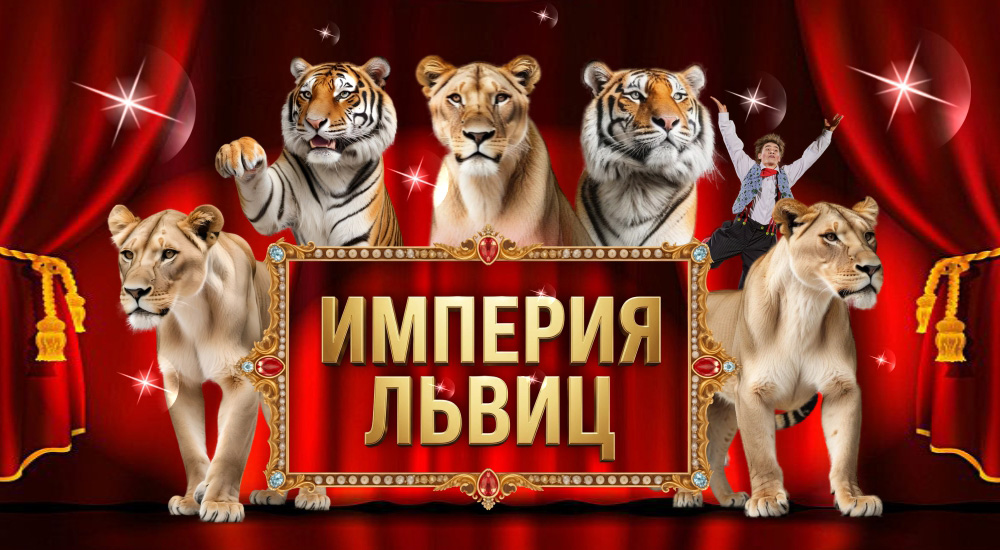 Шоу «Империя львиц» в Ярославском цирке
